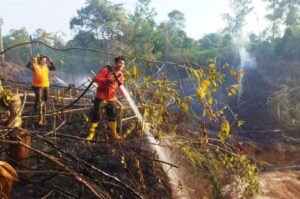 Potensi Hujan Lebat dan Karhutla di Beberapa Wilayah Indonesia - Badan Meteorologi, Klimatologi, dan Geofisika (BMKG) telah memprakirakan potensi hujan lebat serta risiko kebakaran hutan dan lahan (karhutla) di beberapa wilayah Indonesia pada Sabtu.